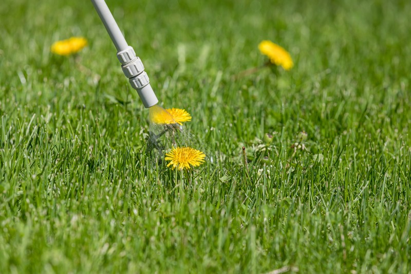 Grass-Killer-Shreveport-WA