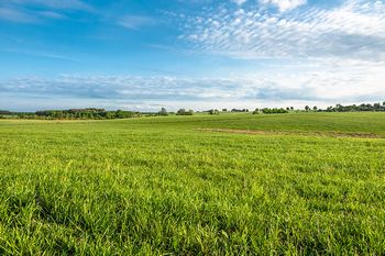 Superior Kilgore pasture liquid fertilizer in TX near 75662